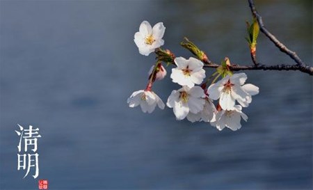 <b>清明节电子交易平台服务时间更改通知</b>